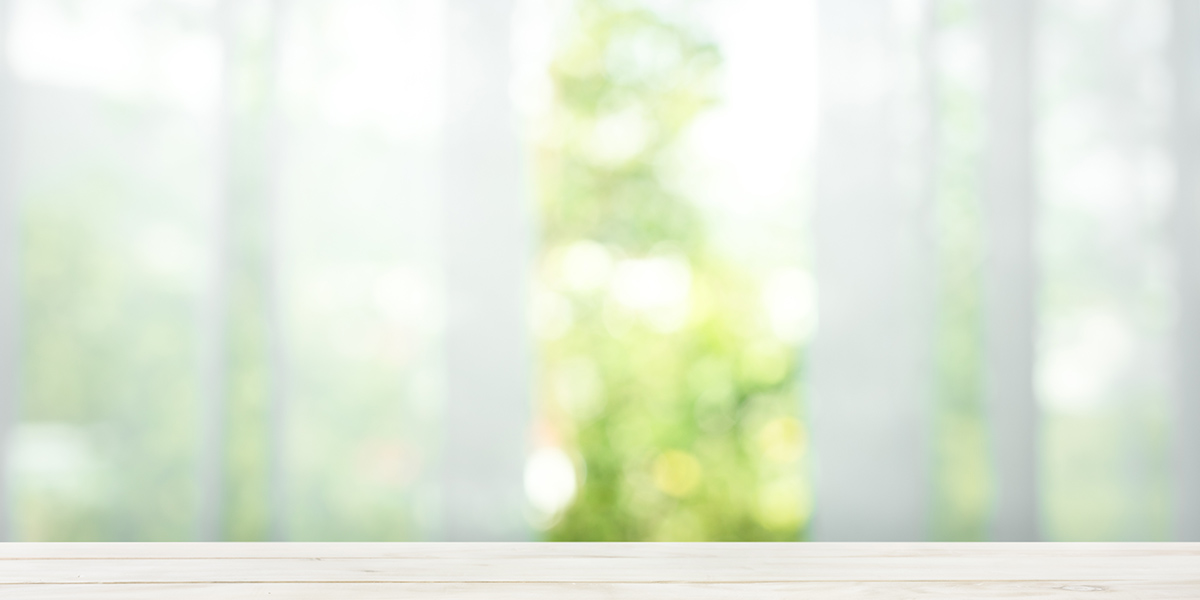 カーテンの隙間から見える木の庭